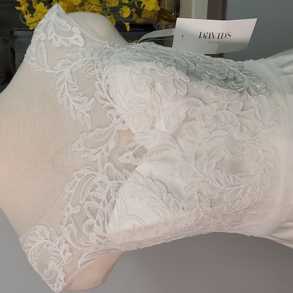 Wedding dress, David's Bridal, NWT. Size 6. Ivory lace and satin. Low V back. - Picture 2 of 16